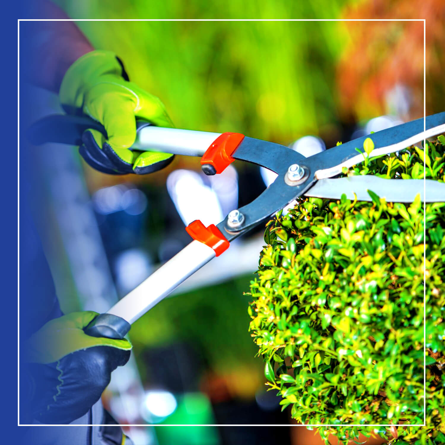 باغبانی و کشاورزی