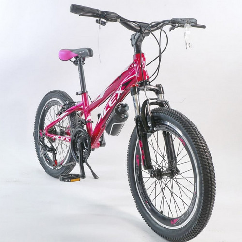 دوچرخه-20-الکس-مدل-judy-کد-20731.jpg