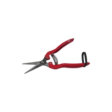 قیچی باغبانی پرتقال چینی 8 اینچ دسته فلزی بدون روکش نوک تیز  Pruning
